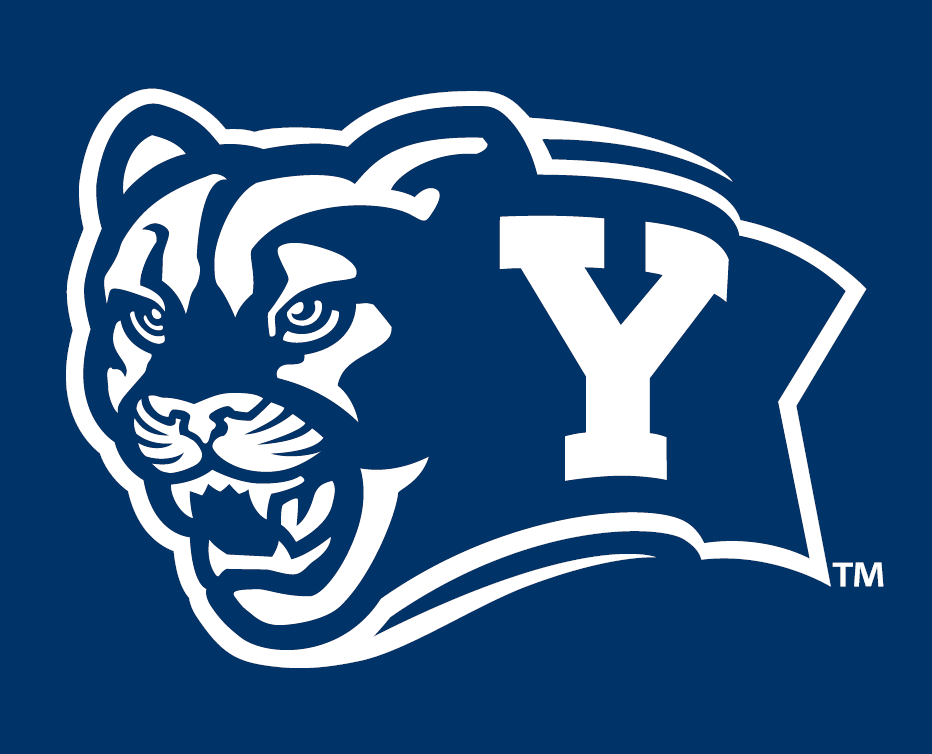 Brigham Young Cougars 2005-Pres Alternate Logo v7 iron on transfers for fabric